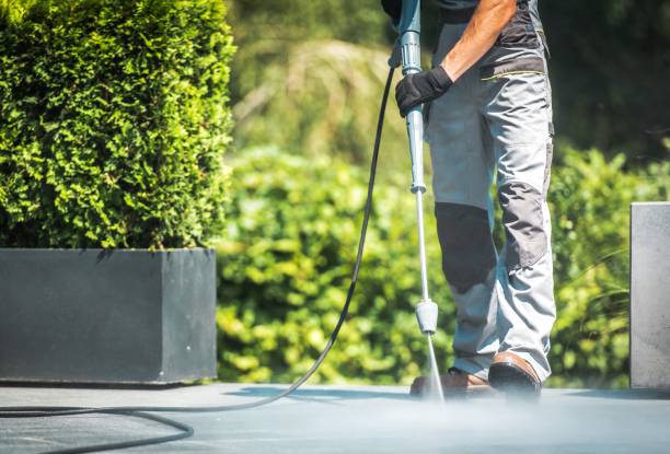 Best Sidewalk and Walkway Cleaning  in Roosevelt Gardens, FL